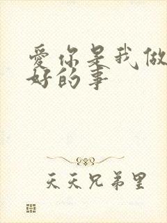 爱你是我做过做好的事