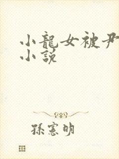 小龙女被尹志平小说封面
