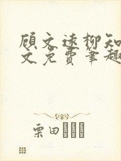 顾文远柳知微全文免费笔趣阁