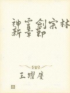 神霄剑宗林枫最新章节