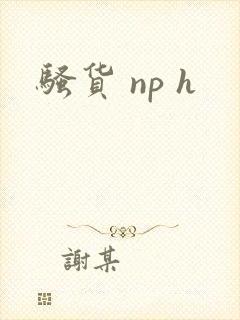 骚货 np h