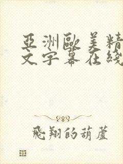 亚洲欧美精品中文字幕在线