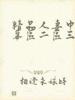 精品人妻中文字幕区二区三区视频