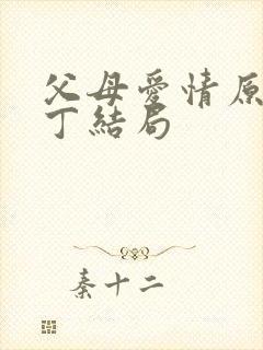 父母爱情原著老丁结局封面