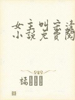 女主叫宋清禾的小说免费阅读