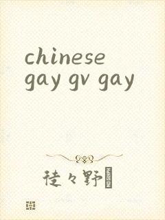 chinesegay gv gay