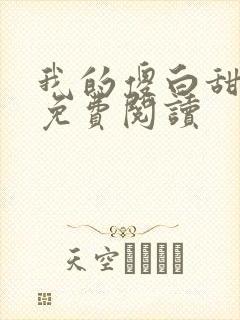 我的傻白甜老婆免费阅读封面