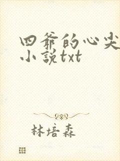 四爷的心尖宠妃小说txt