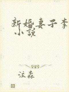 新婚妻子李芷珊 小说