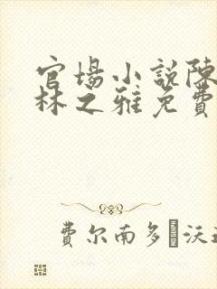 官场小说陈志远林之雅免费阅读全文封面