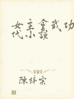 女主会武功的现代小说