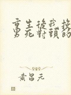 重生后我投入渣男死对头的怀抱