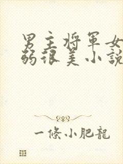 男主将军女主柔弱很美小说