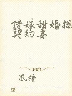 错嫁甜婚总裁的契约妻