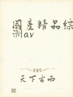 国产精品综合亚洲av