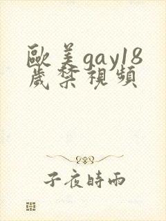 欧美gay18岁禁视频
