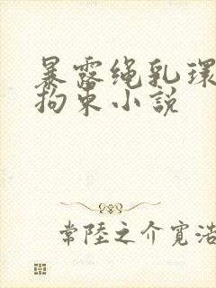 暴露绳乳环蒂环拘束小说