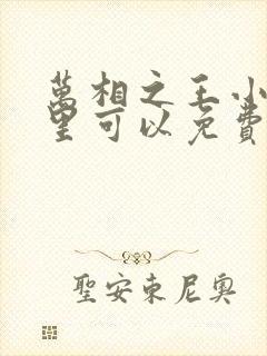 万相之王小说哪里可以免费阅读