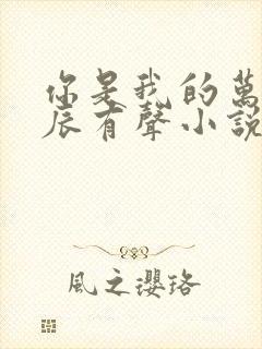 你是我的万千星辰有声小说封面