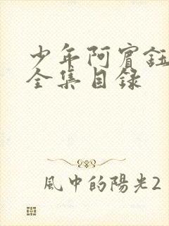 少年阿宾钰慧篇全集目录