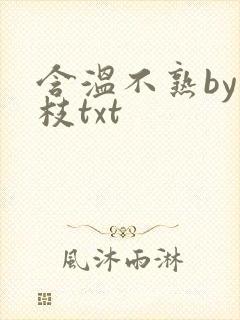 含温不熟by词枝txt