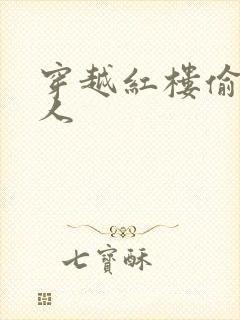 穿越红楼偷王夫人