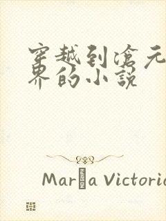 穿越到沧元图世界的小说