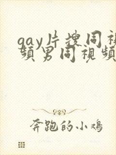 gay片搜同视频男同视频在线