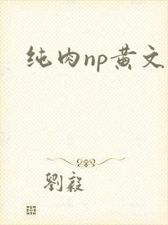 纯肉np黄文