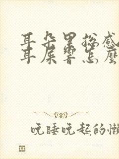 耳朵里总感觉有耳屎响怎么回事