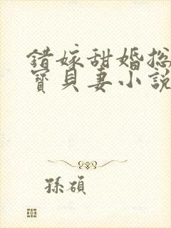 错嫁甜婚总裁的宝贝妻小说完整封面