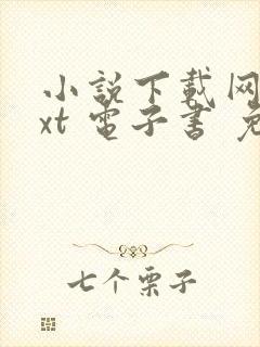 小说下载网 txt 电子书 免费下载