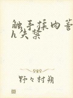 触手揉肉蒂高潮h失禁封面