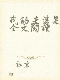 我的老婆是总裁全文阅读