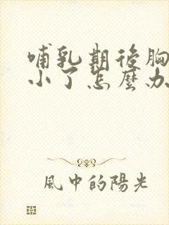 哺乳期后胸部变小了怎么办