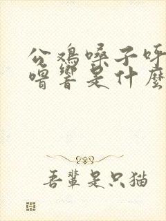 公鸡嗓子呼噜呼噜响是什么病