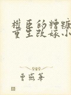 权臣的糟糠之妻重生改嫁小说