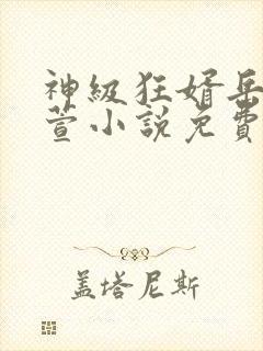 神级狂婿岳风柳萱小说免费阅读全文封面