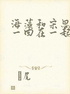 海藻和宋思明第一回在一起