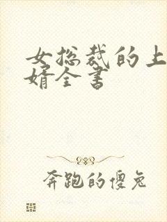 女总裁的上门女婿全书