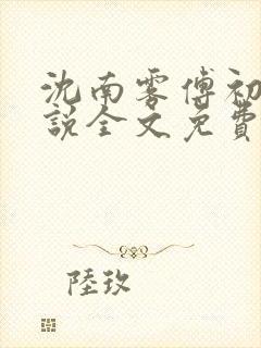 沈南雾傅初安小说全文免费阅读封面