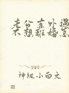 老公有外遇到我不想离婚怎么办封面