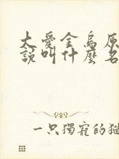 大爱金乌原著小说叫什么名字