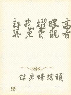 许我耀眼高清全集免费观看