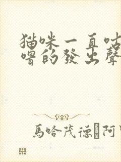 猫咪一直咕噜咕噜的发出声音是怎么了封面