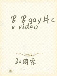 男男gay片cⅴvideo封面