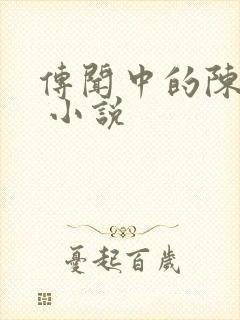 传闻中的陈芊芊 小说