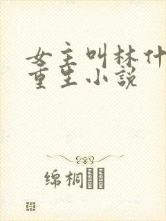 女主叫林什么的重生小说
