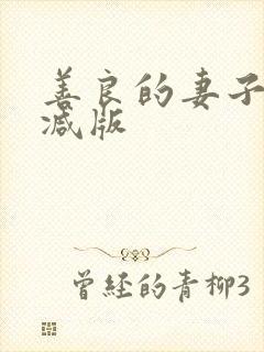 善良的妻子未删减版封面