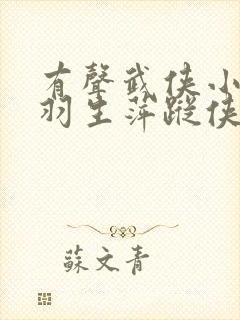 有声武侠小说梁羽生萍踪侠影